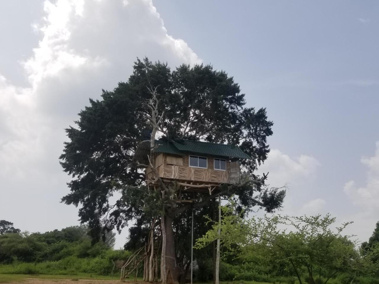 雅拉梦园帐篷营地酒店 外观 照片